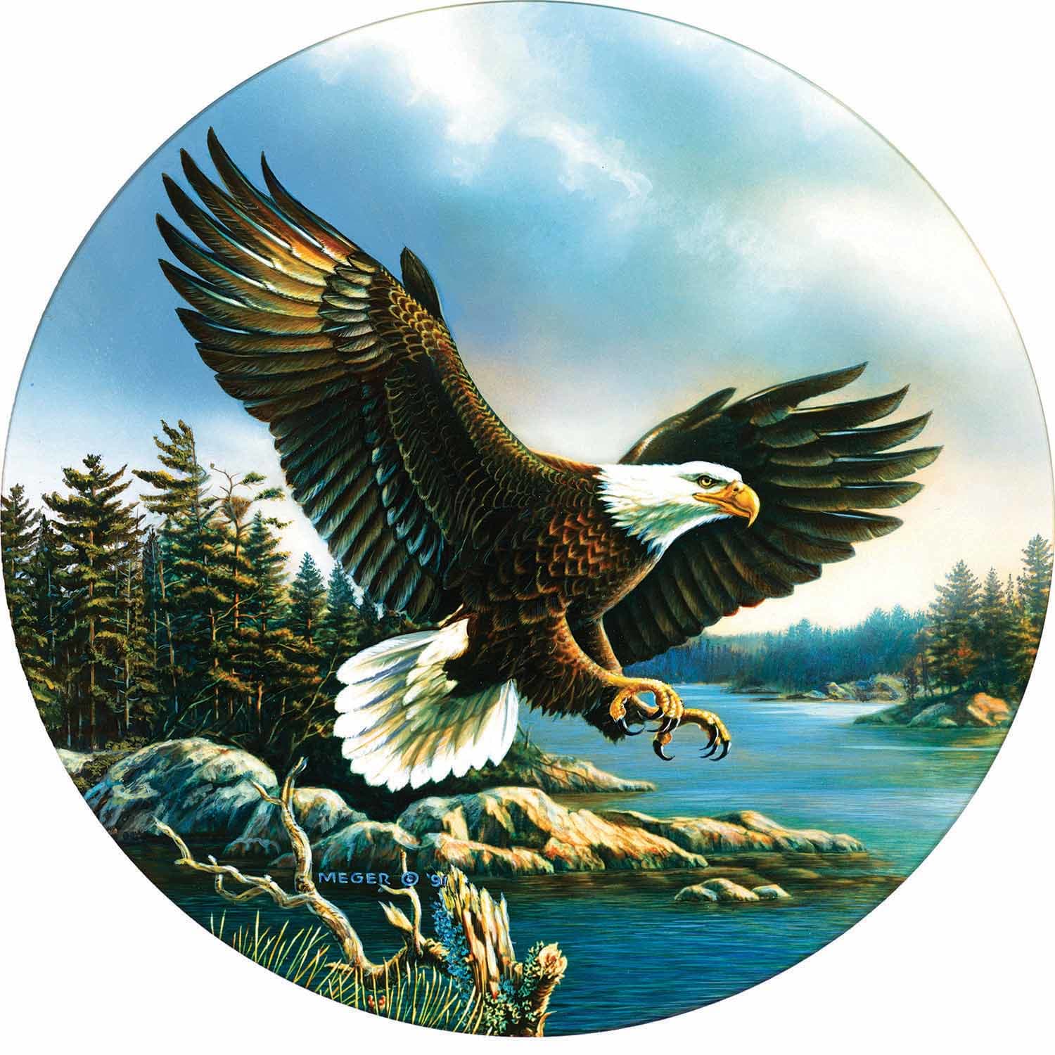Eagle Landing Patriotic