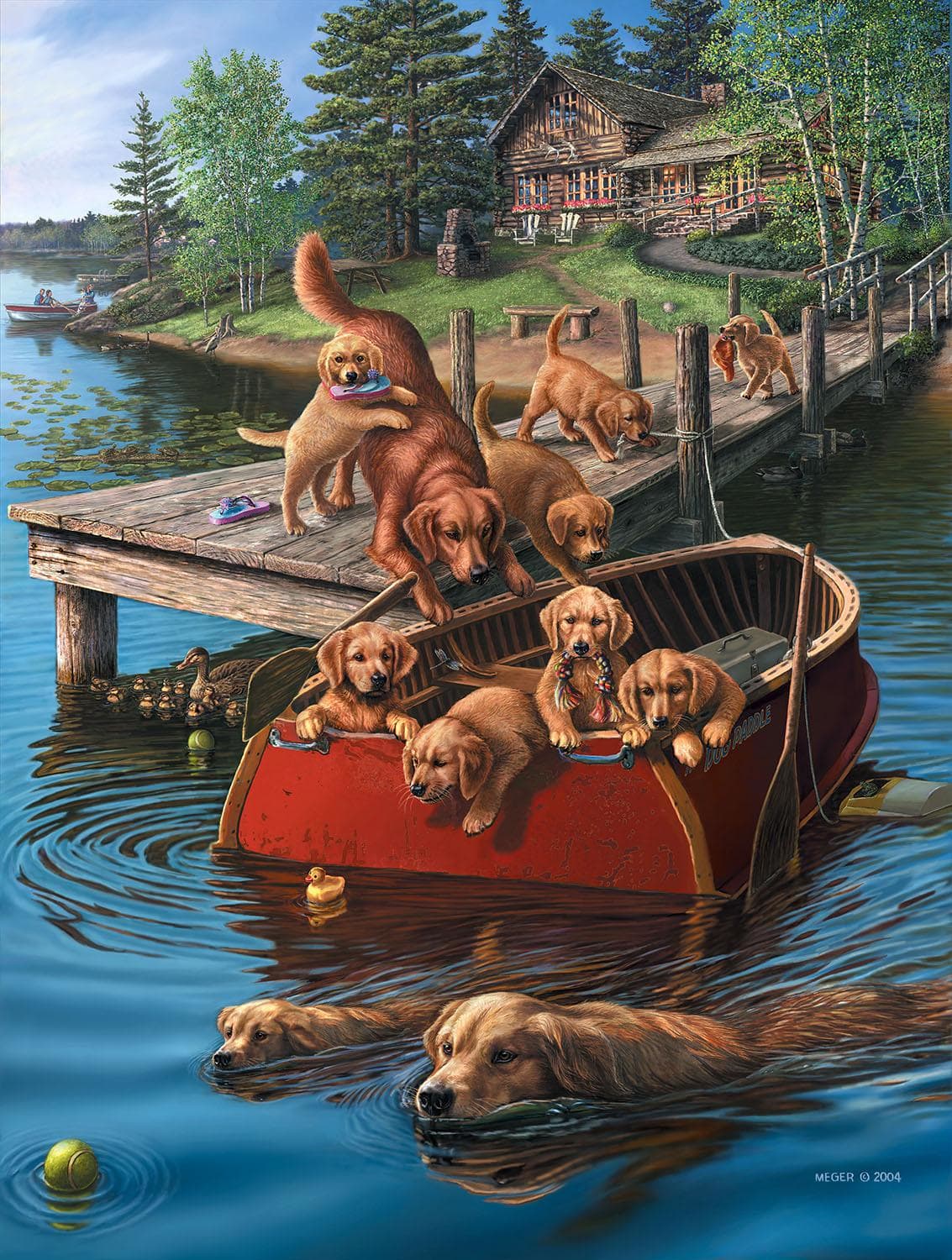 Dog Paddle Dogs