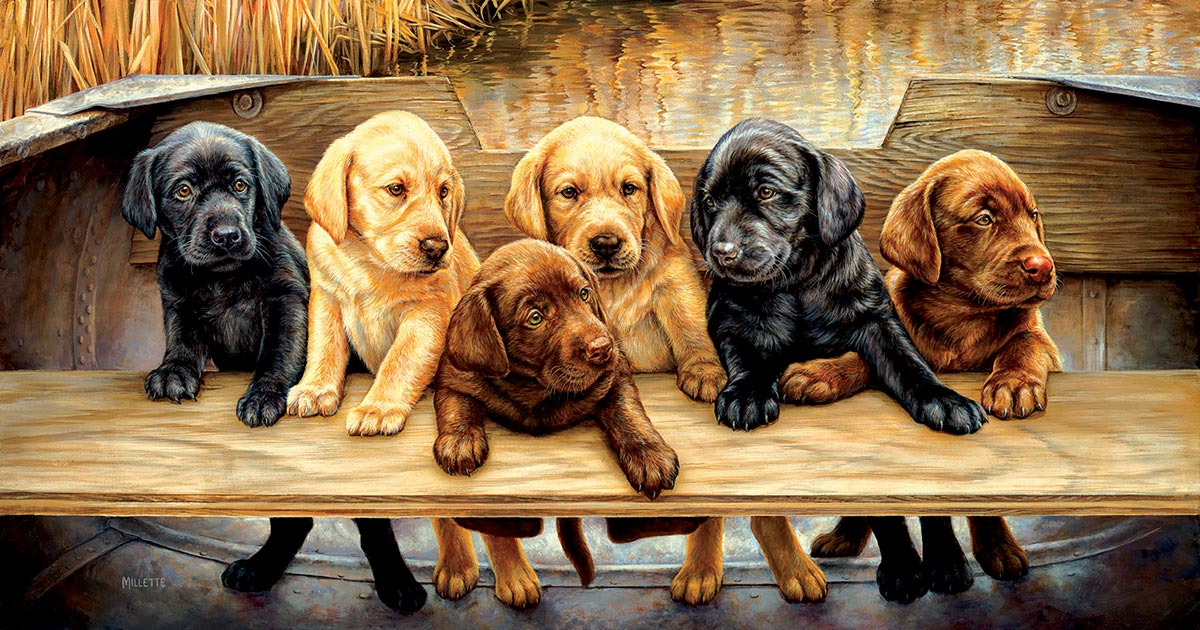 All Hands on Deck Dogs Jigsaw Puzzle