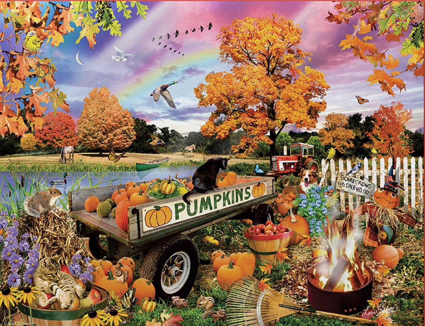 Back Acre Pumpkin Patch Fall
