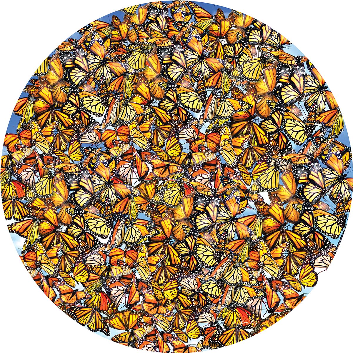 Monarch Frenzy Butterflies and Insects Jigsaw Puzzle