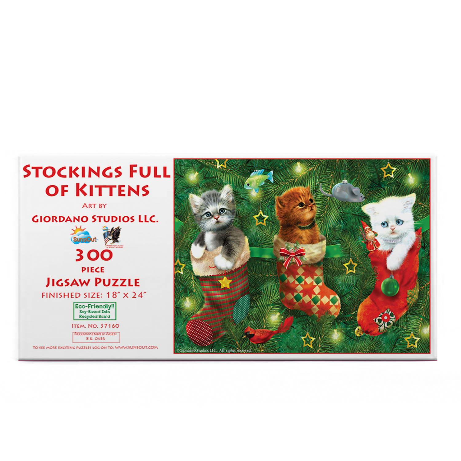 Stockings Full of Kittens Cats