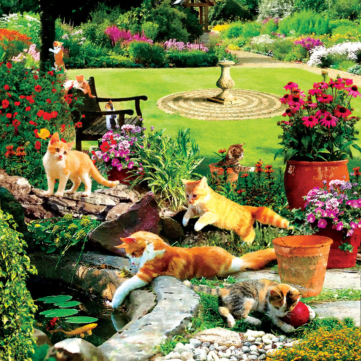 Garden Fishermen - Scratch and Dent Cats