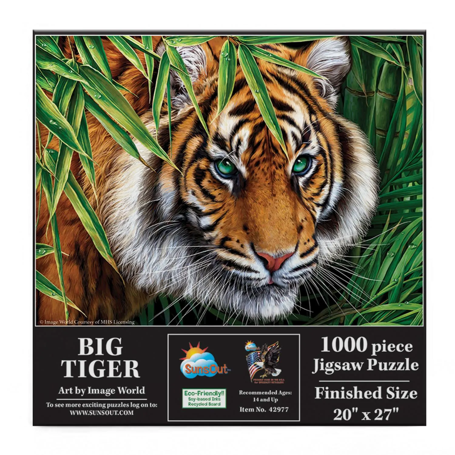 Big Tiger Big Cats