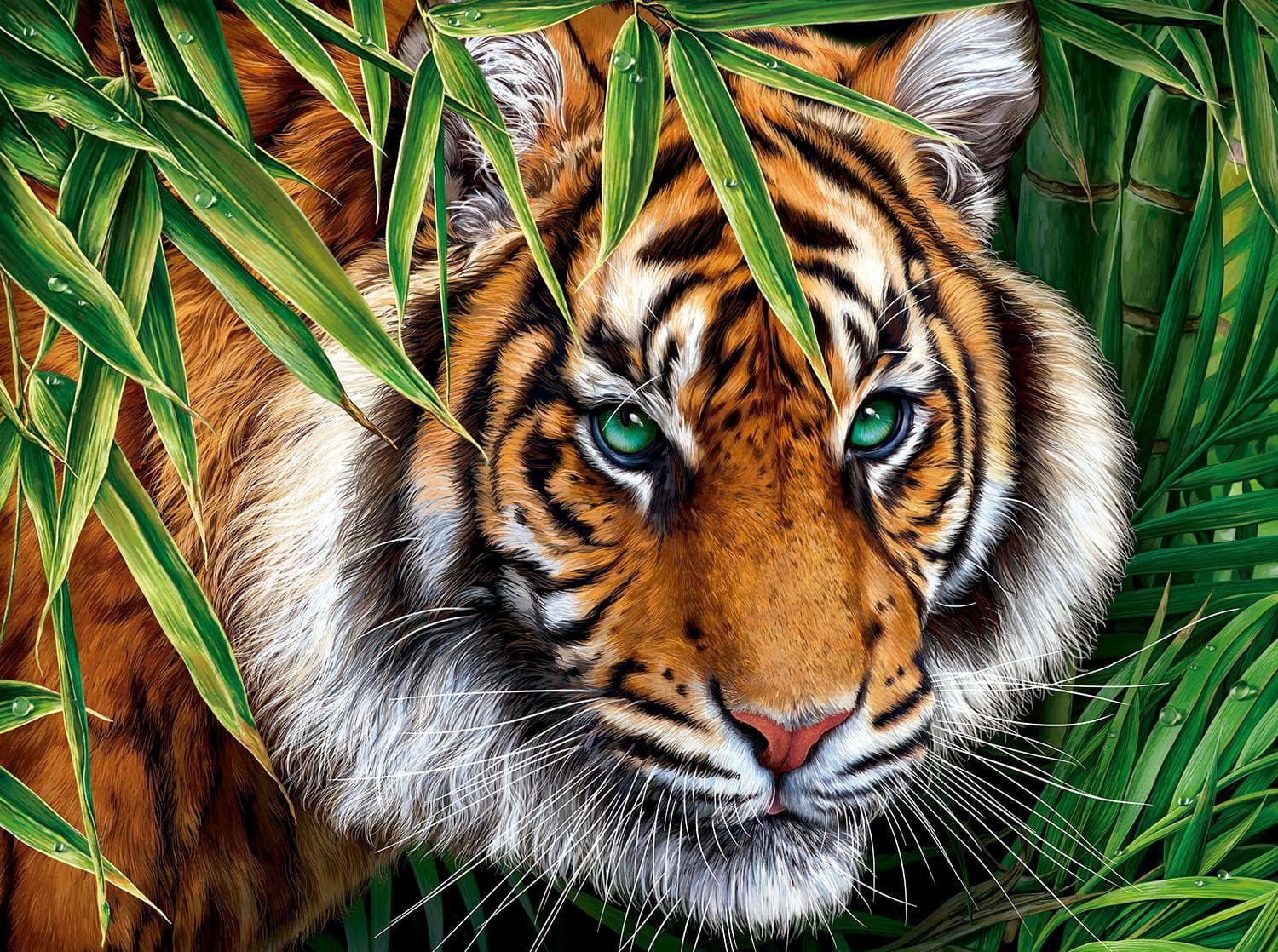 Big Tiger