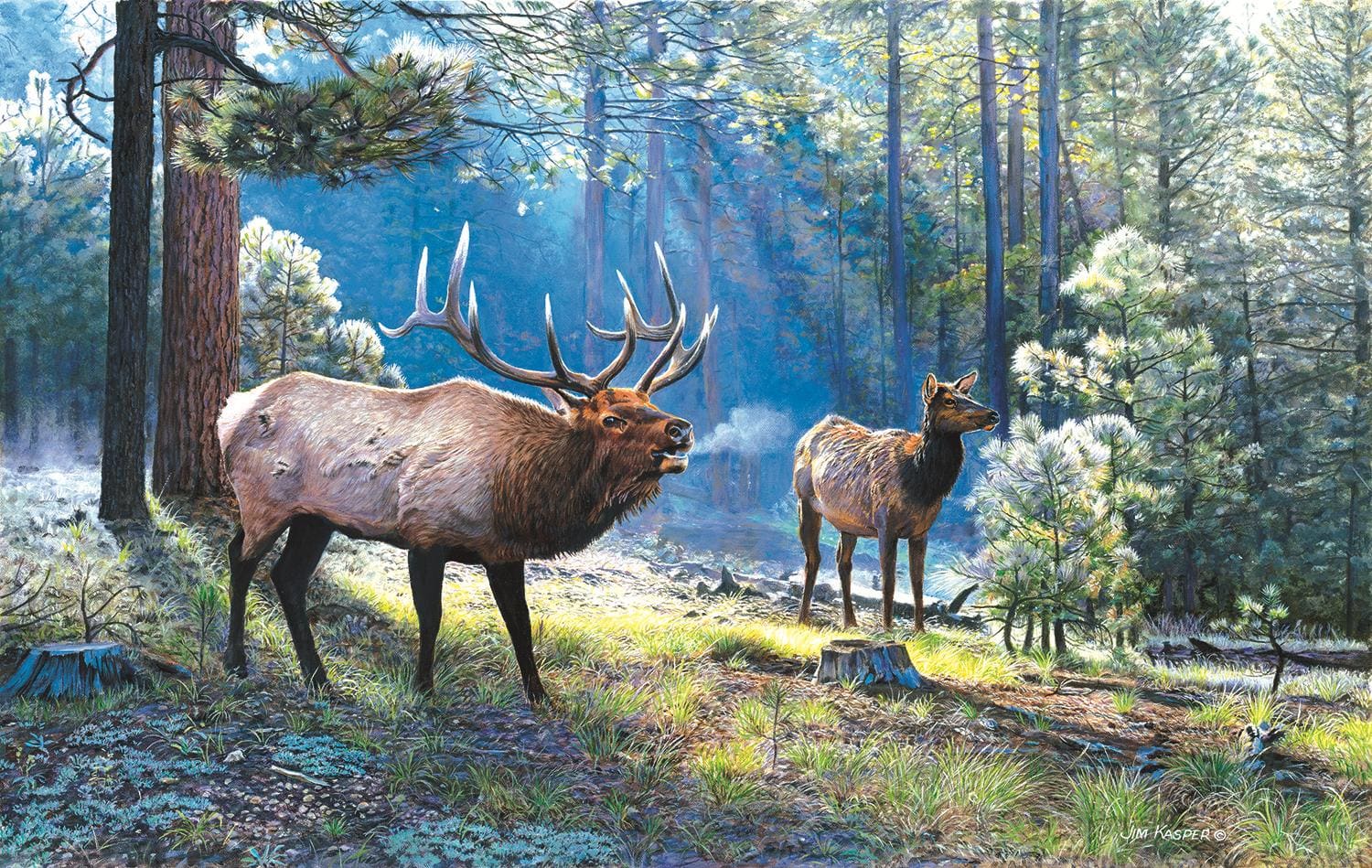 Spirited Exchange Animals