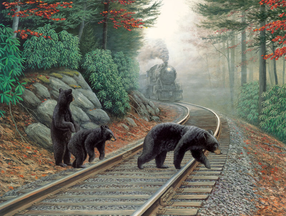 Bear Tracks Train Jigsaw Puzzle