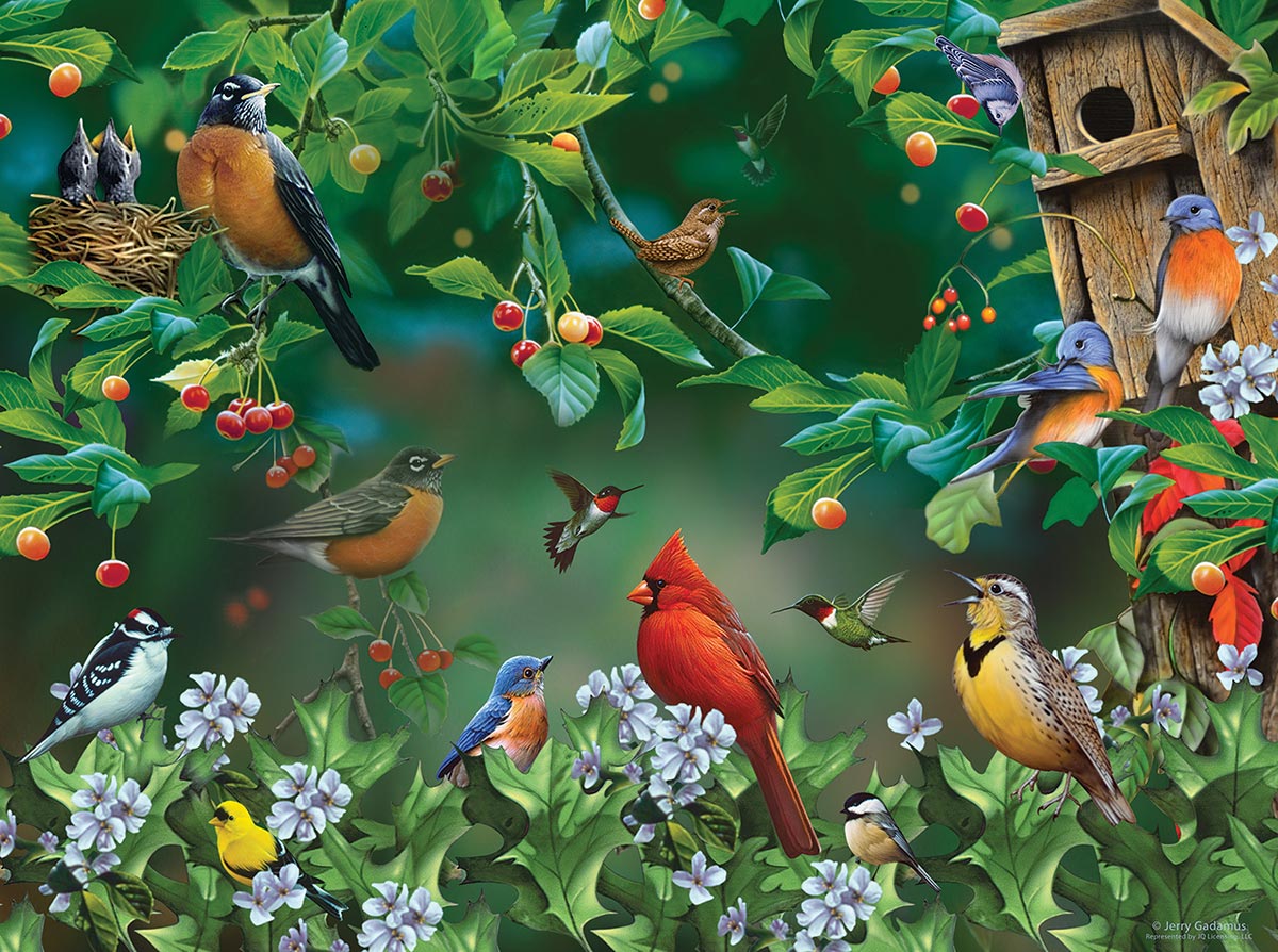 Bird Festival Birds Jigsaw Puzzle