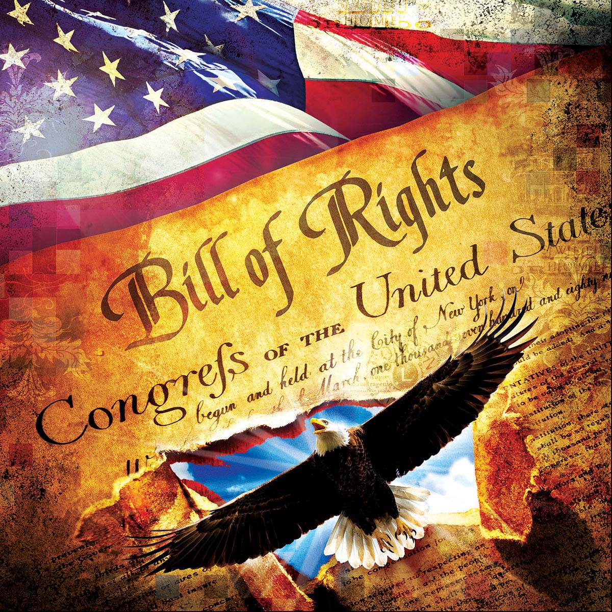 The Bill of Rights Patriotic Jigsaw Puzzle
