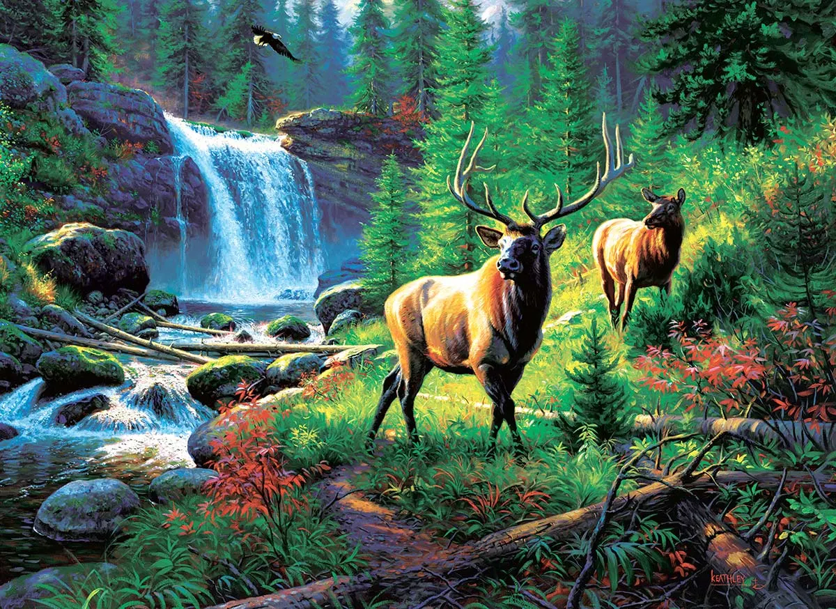 Mountain Harmony Forest Animal