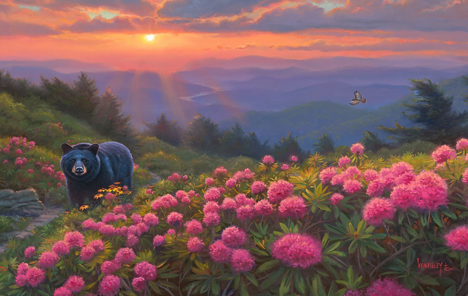 Craggy Mountain Sunset