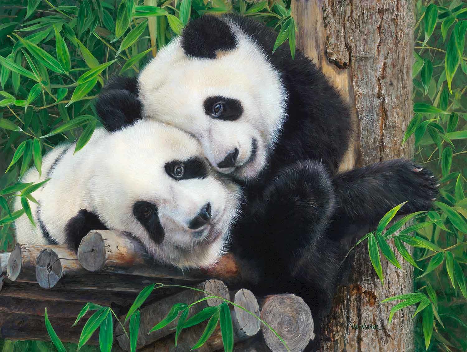 Bamboo Buddies