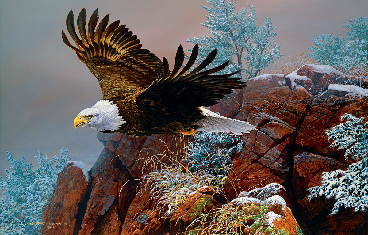 Wind Surfer Eagle Jigsaw Puzzle