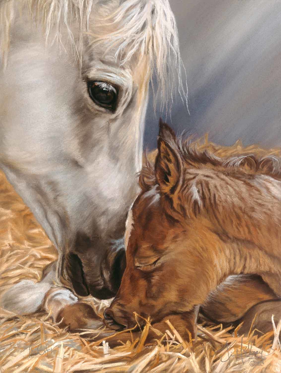 Gift of Nature Horse