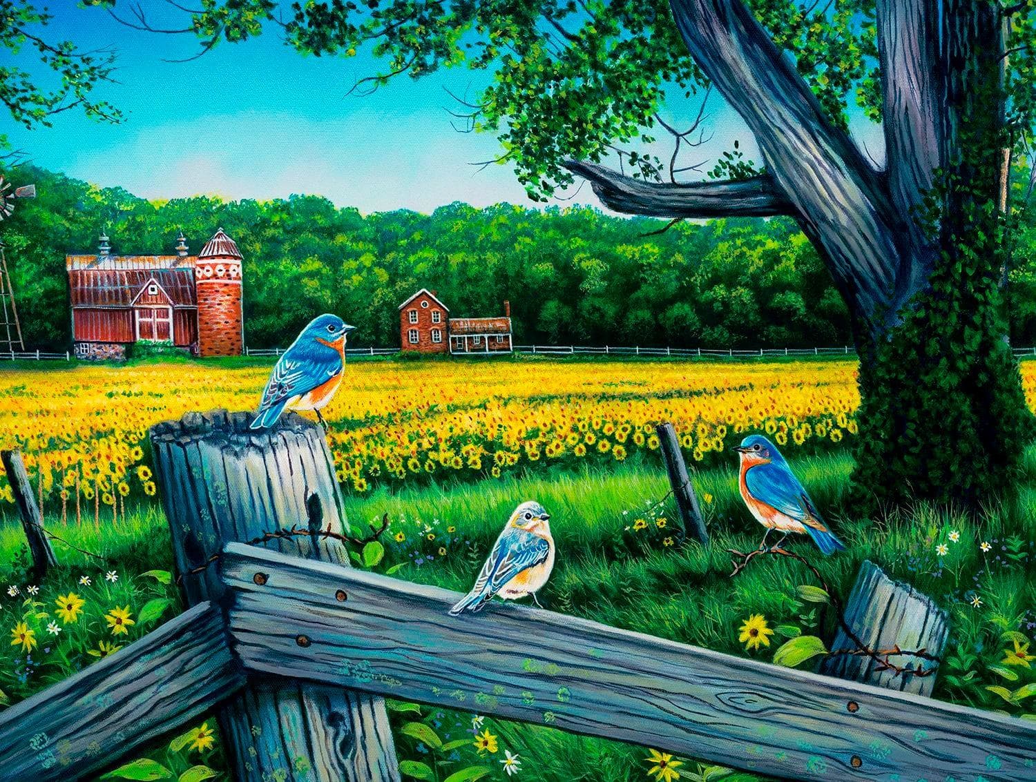 Sunflower Valley Blues Farm