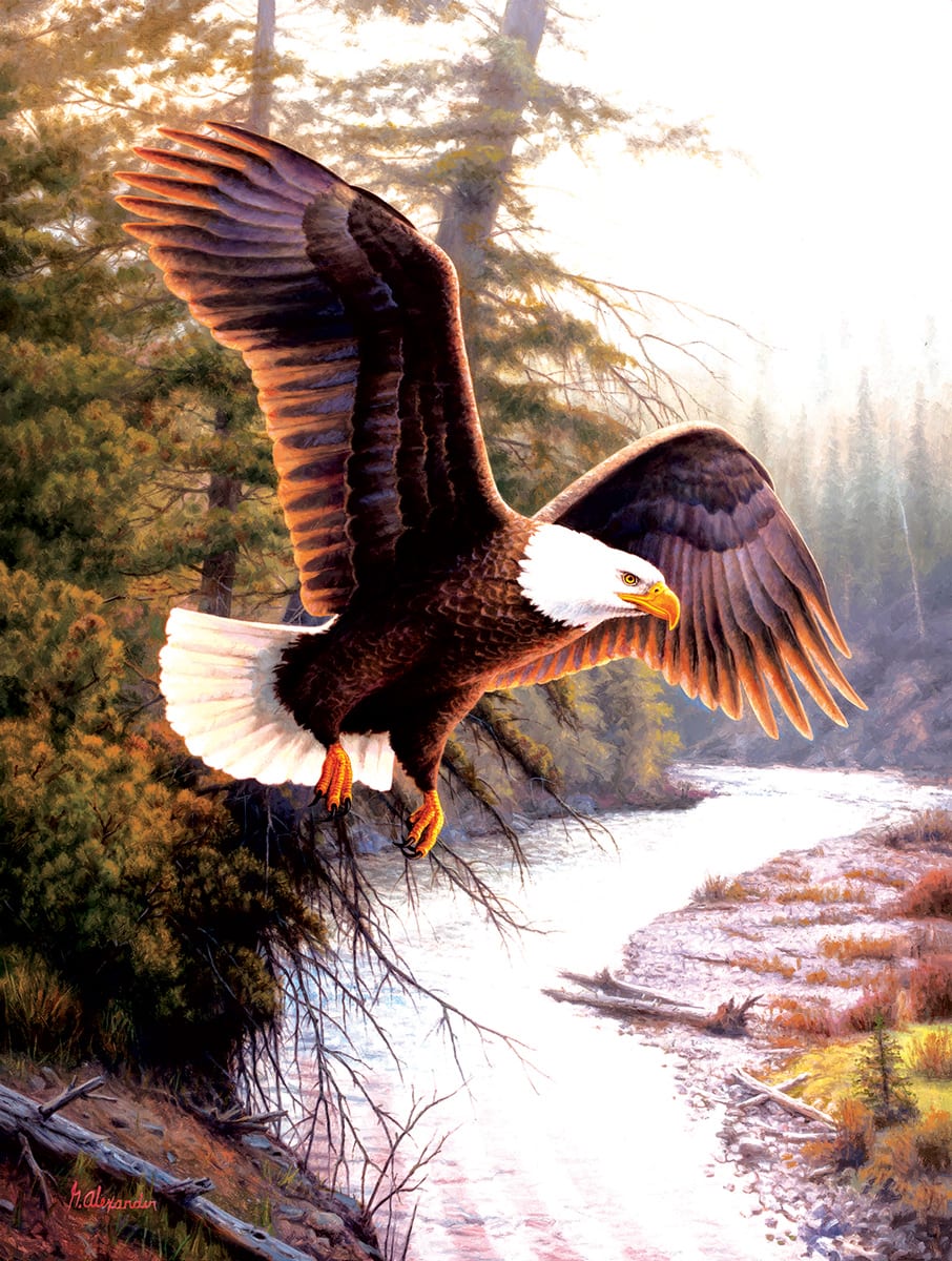 Eagle Patriot - Scratch and Dent Eagle