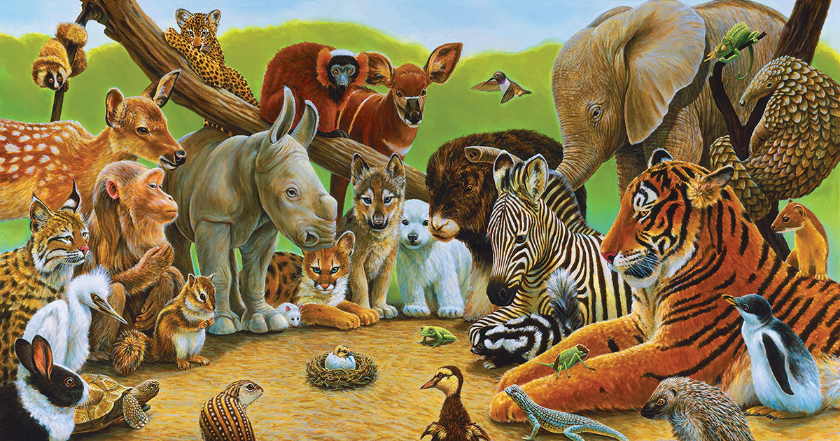 The Little Miracle Animals Jigsaw Puzzle