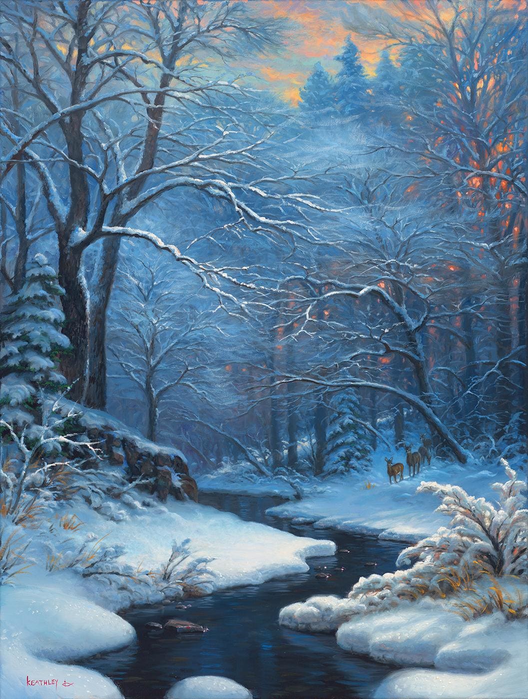 A Winter's Blanket Winter