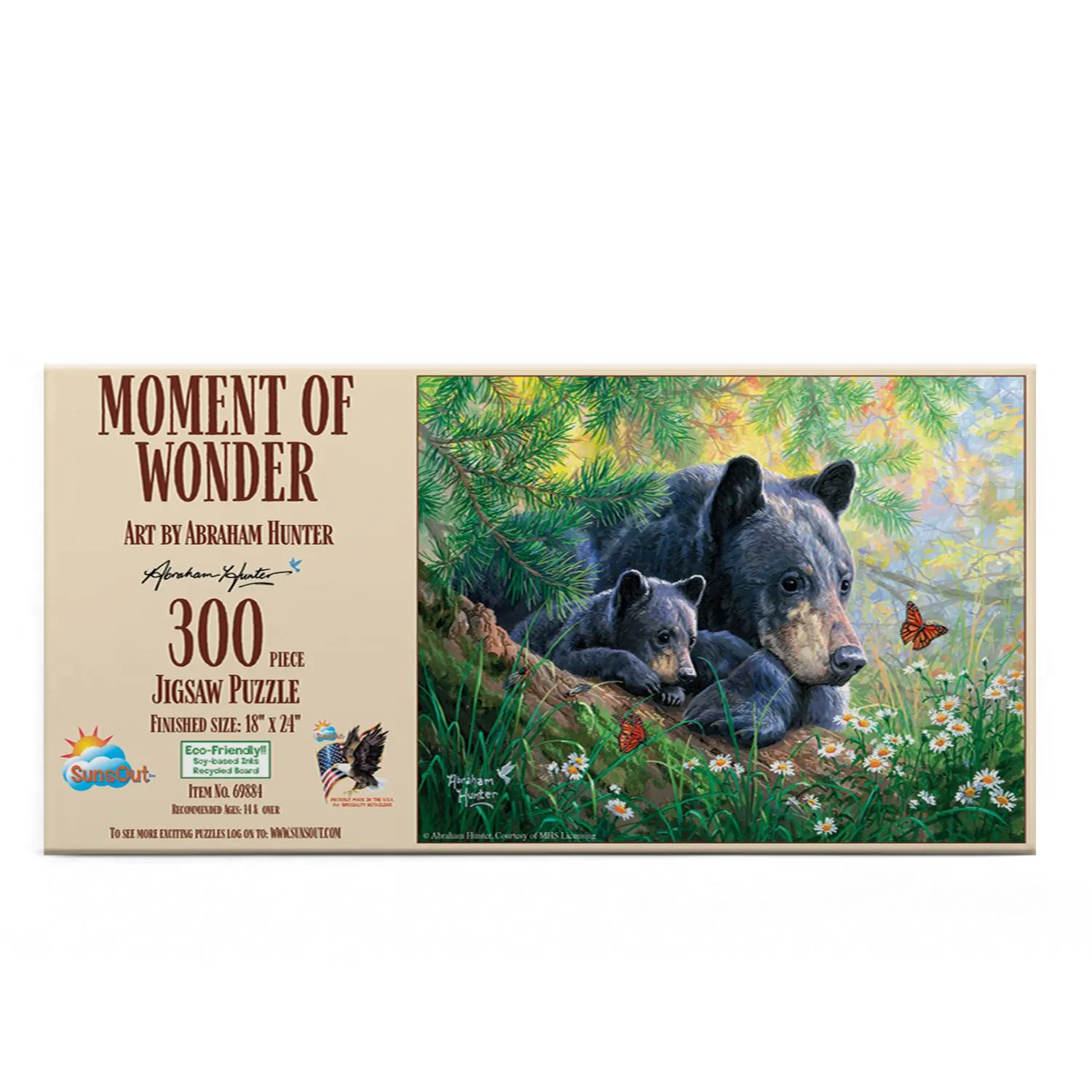 Moment of Wonder Bear