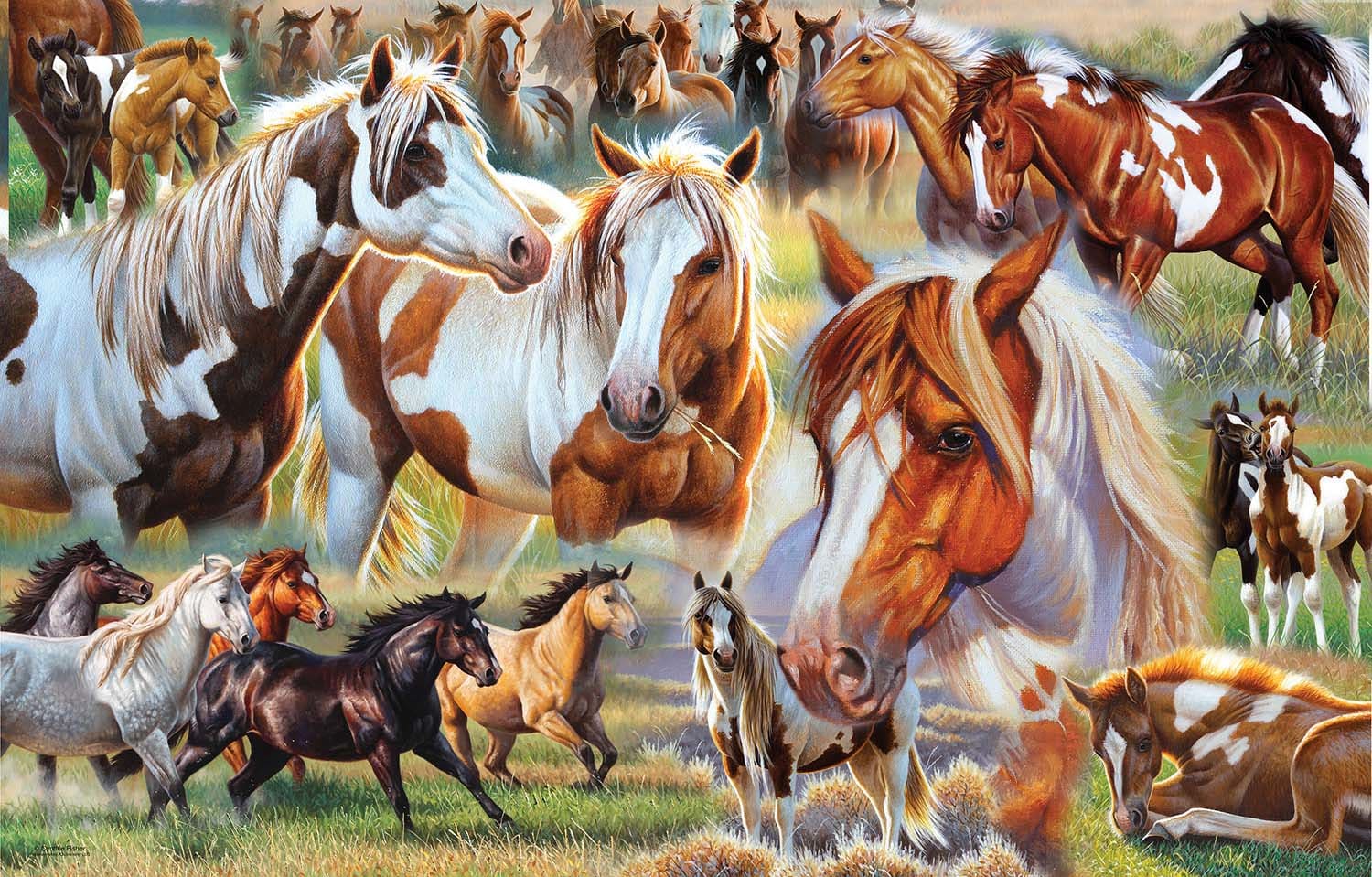 Horse Stampede Horse