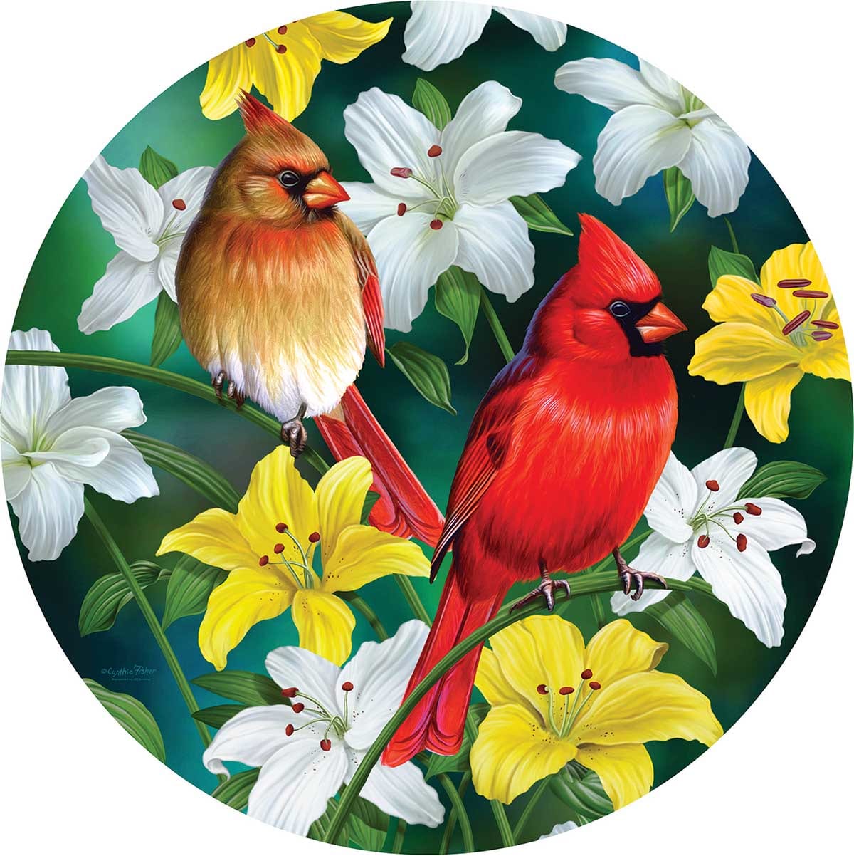 Cardinals in the Round Birds