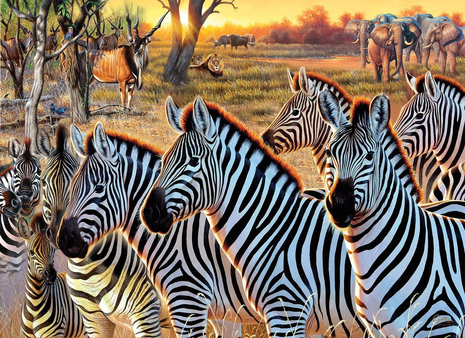 Zebras and Friends Animals