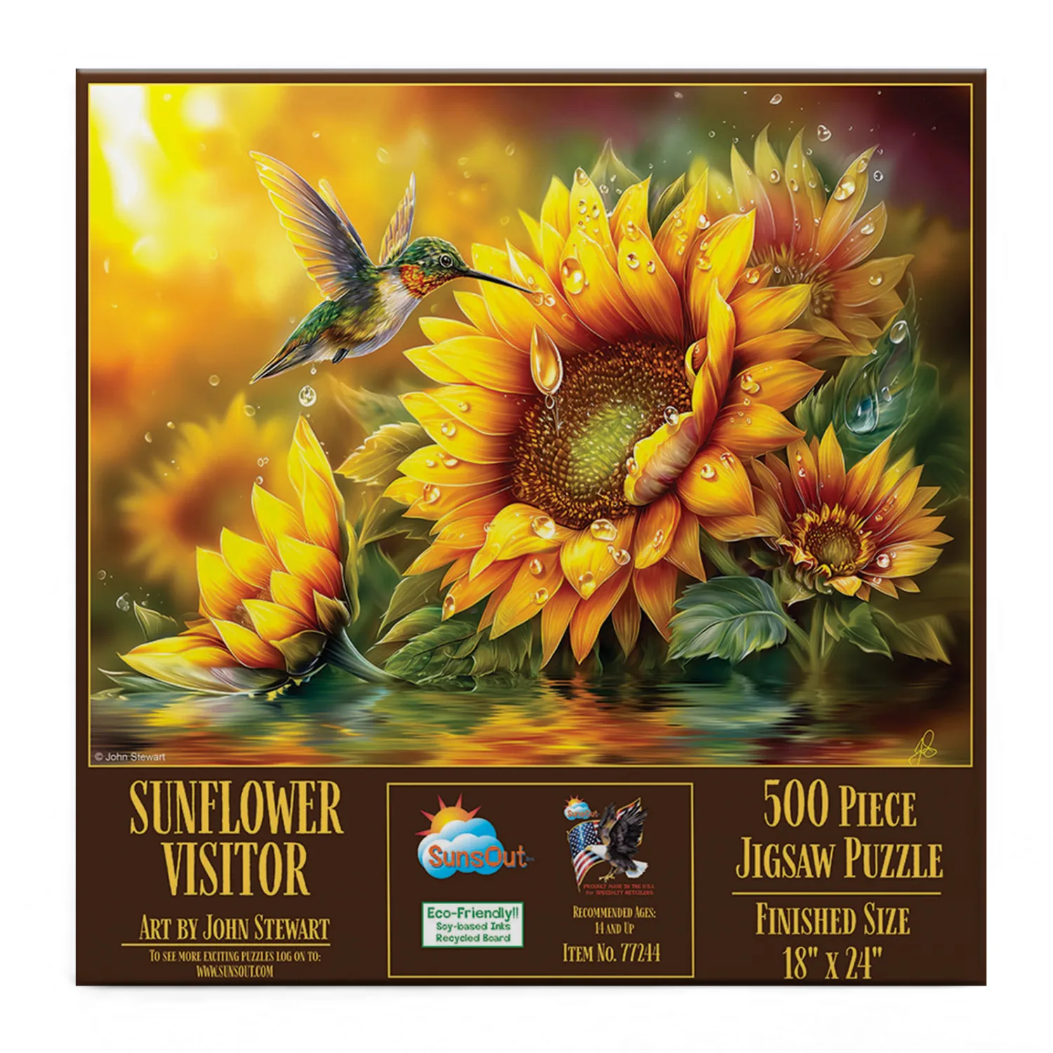 Sunflower Visitor Birds