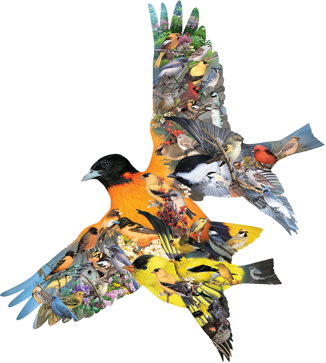Oriole Birds Shaped Puzzle