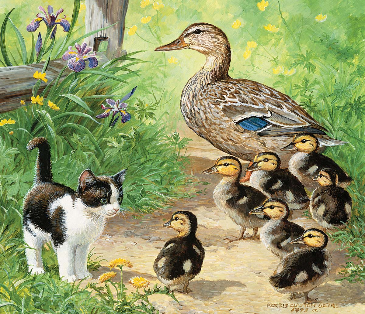 Ducks and Friend Cats Jigsaw Puzzle
