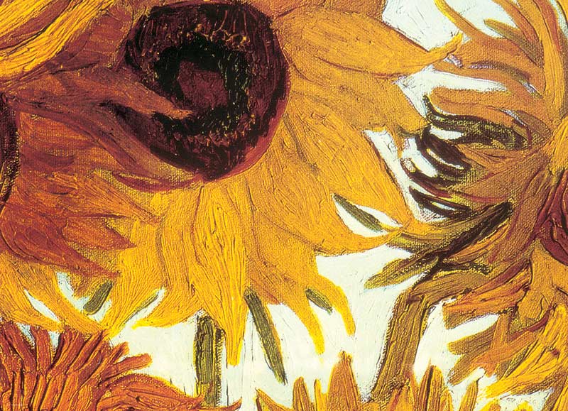 Twelve Sunflowers Fine Art