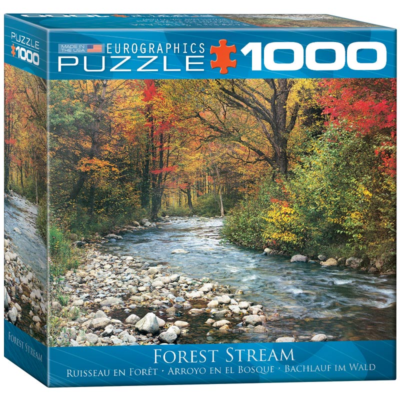 Forest Stream Forest