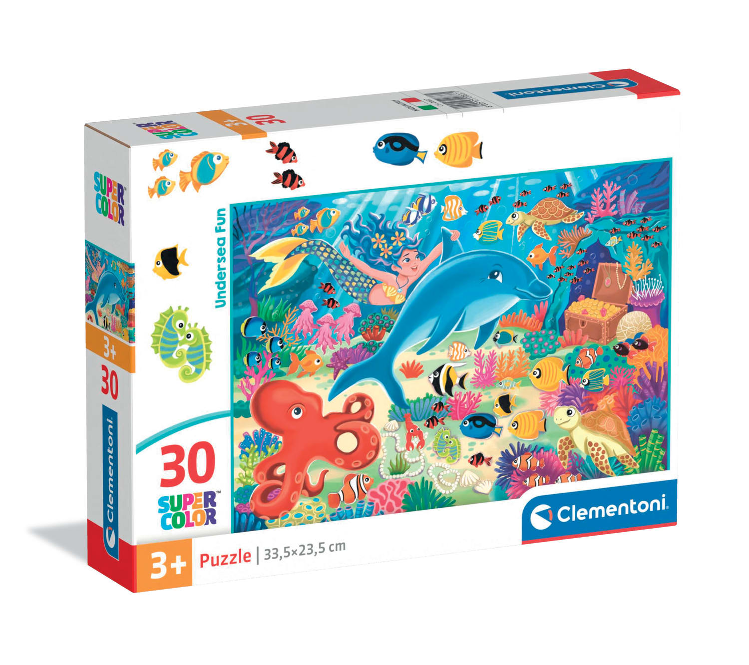 Undersea Fun Sea Life