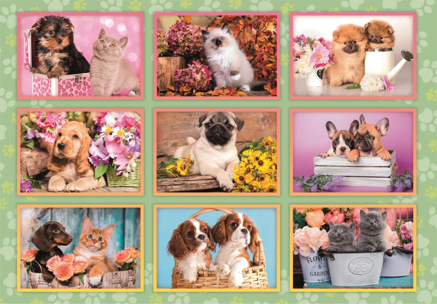 SuperColor Puppies Collage