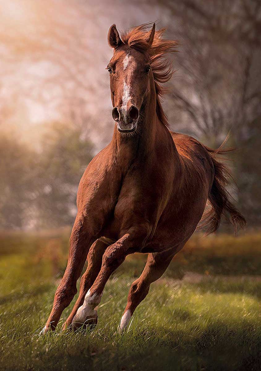 The Horse Horse Jigsaw Puzzle
