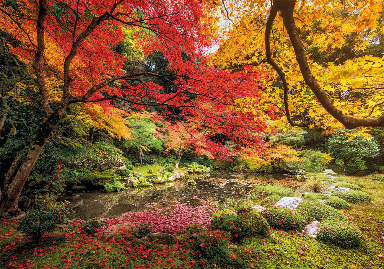 Autumn Park - Scratch and Dent Fall