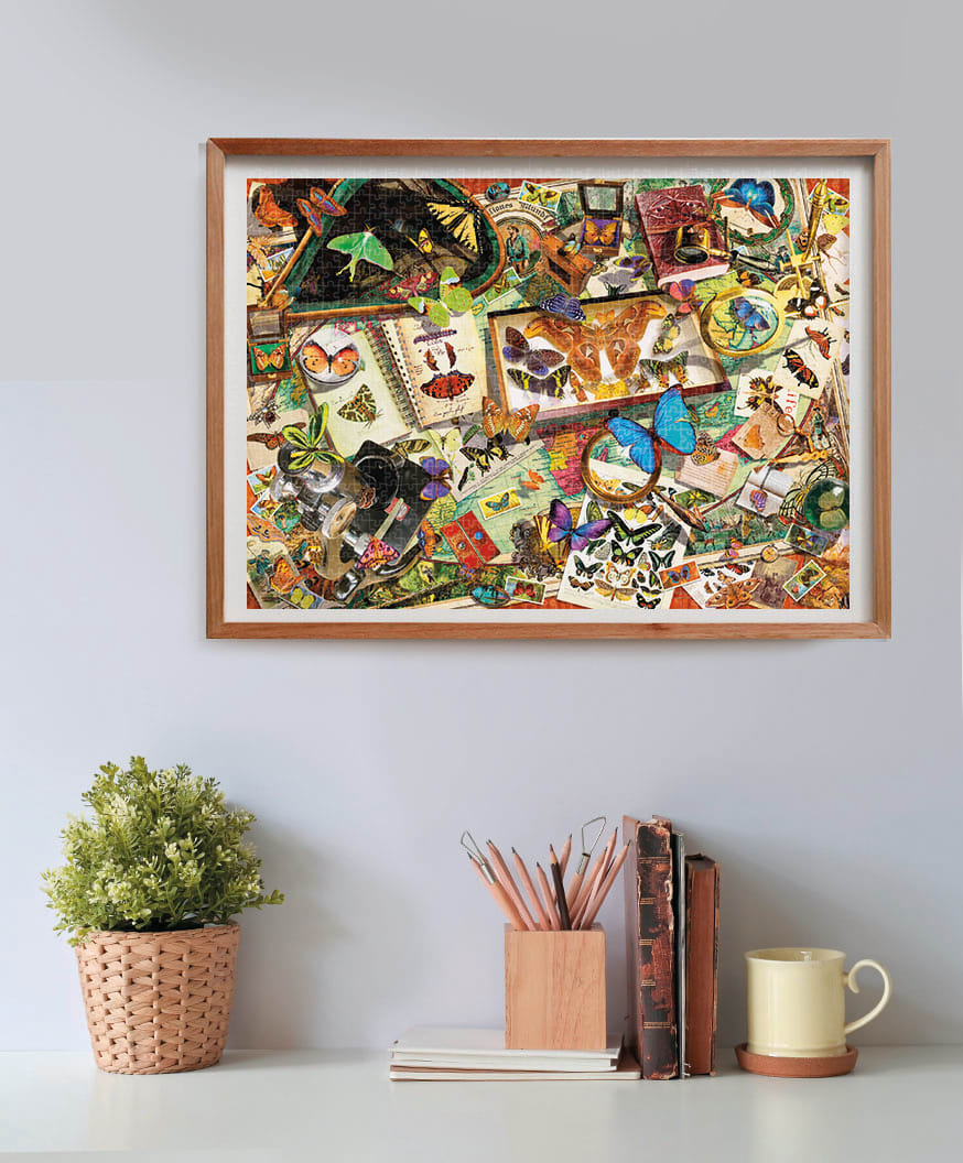 The Butterfly Collector