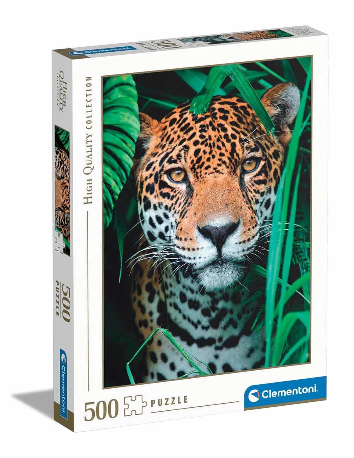 Jaguar in the Jungle