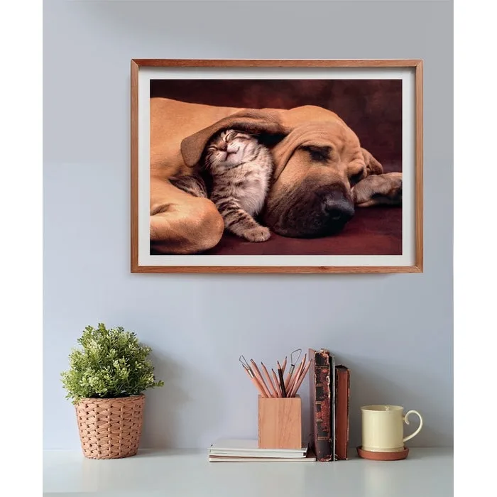 Cuddles - Compact Box