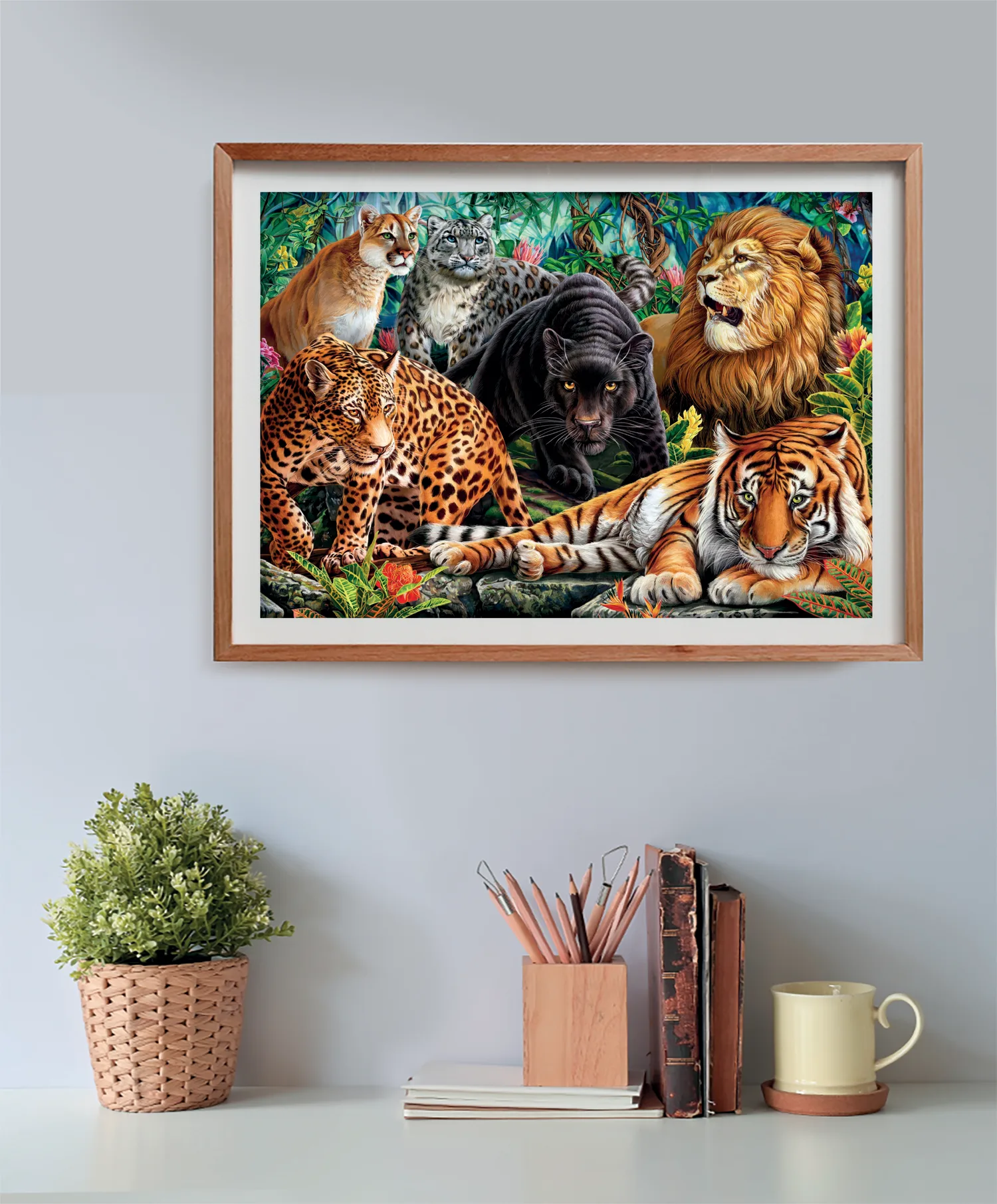 Wild Cats - Compact Box