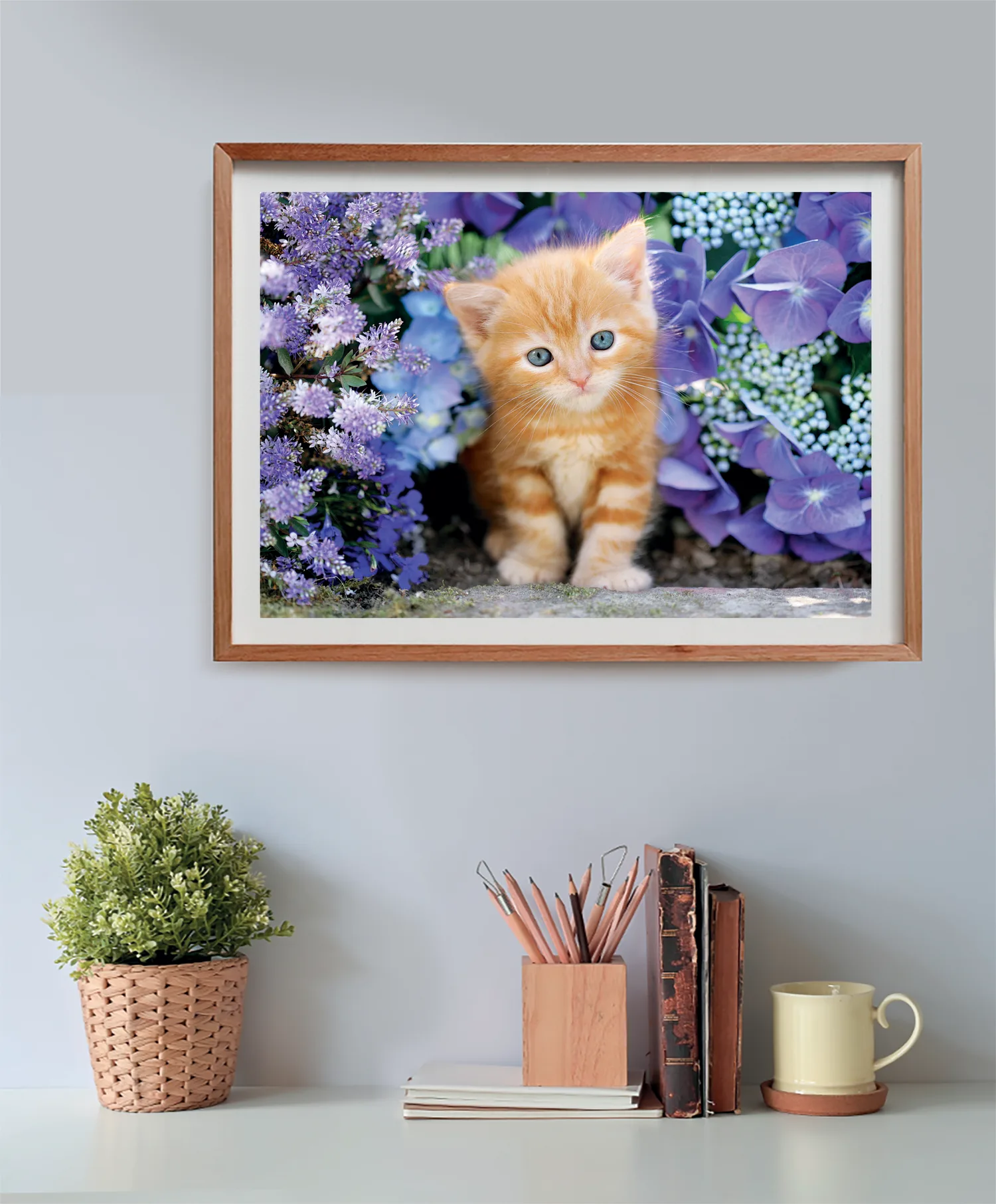 Ginger Cat - Compact Box