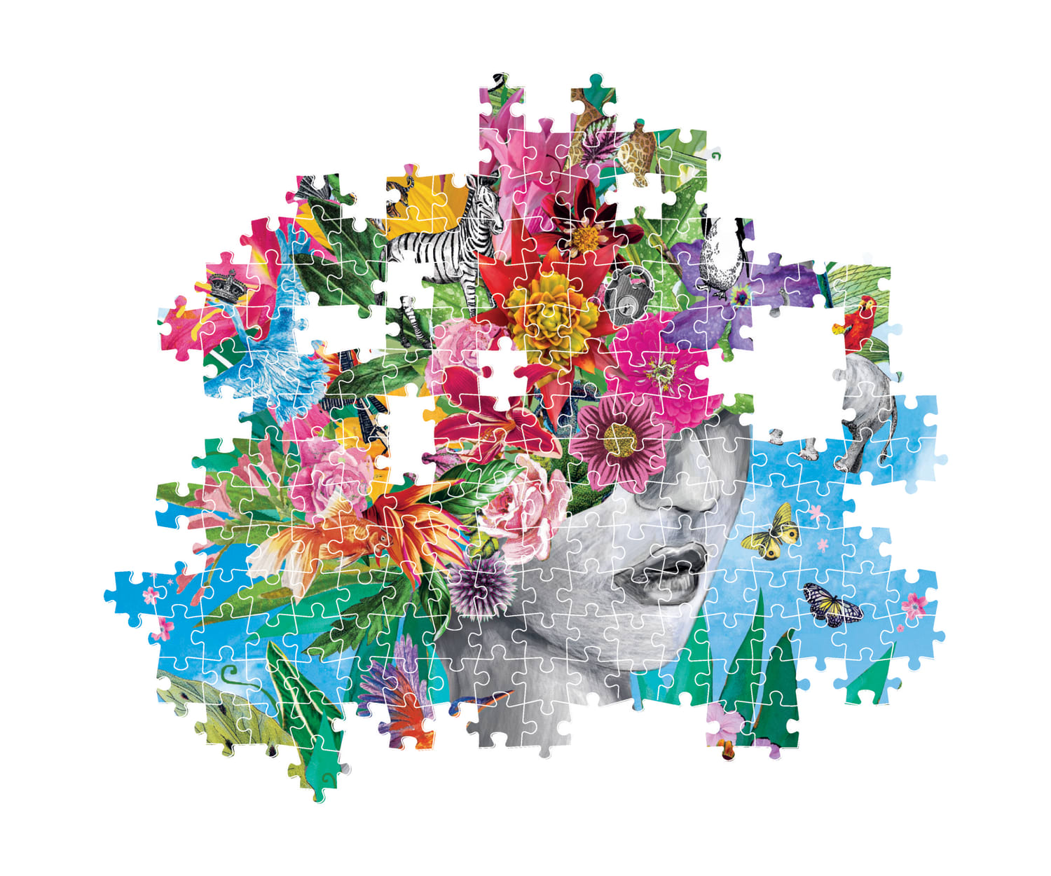 Head In The Jungle - Compact Box - Scratch and Dent