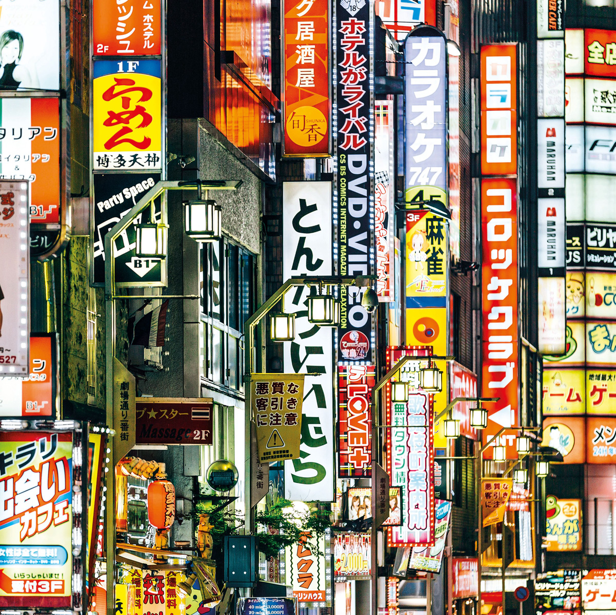 Frame Me Up:  Tokyo Lights Collage Jigsaw Puzzle