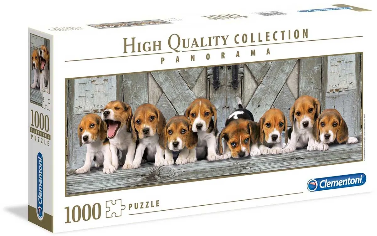 Beagles
