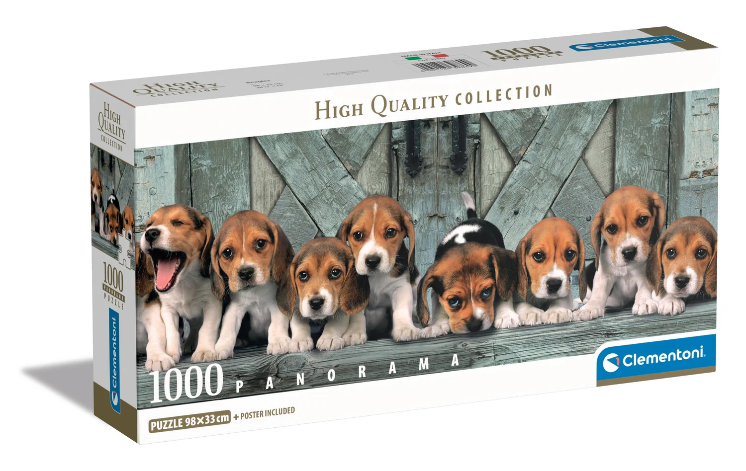 Beagles - Compact Box