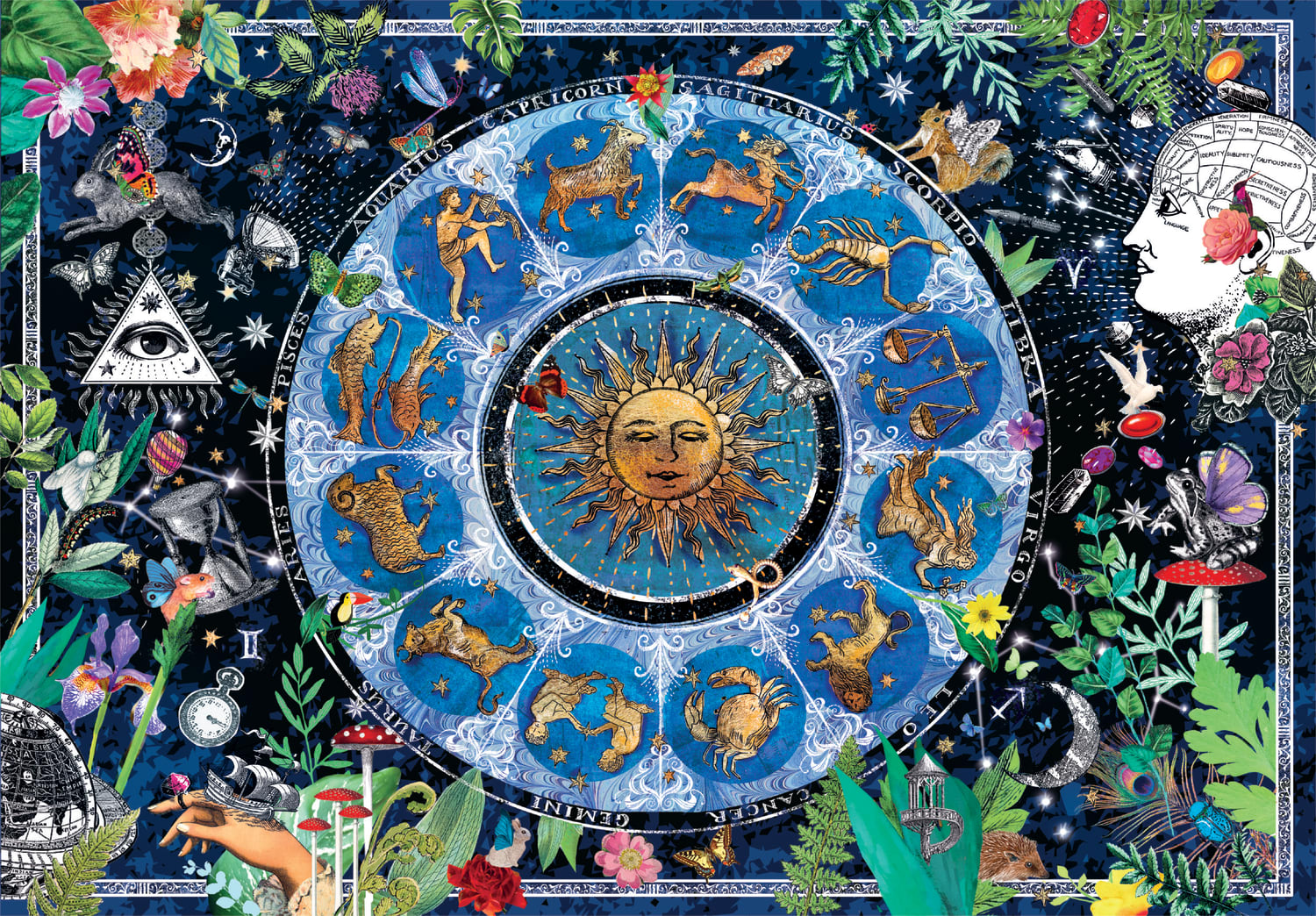 Astrological Chart - Compact Box