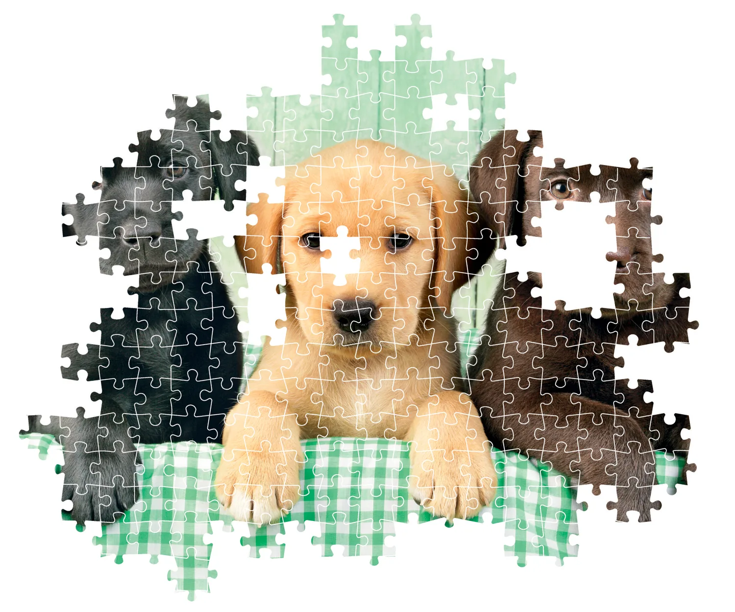 Three Labs - Compact Box