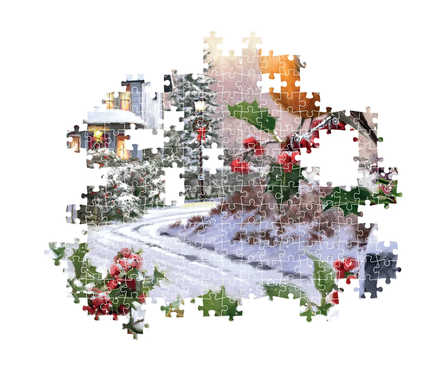 Robin And Holly Bushes