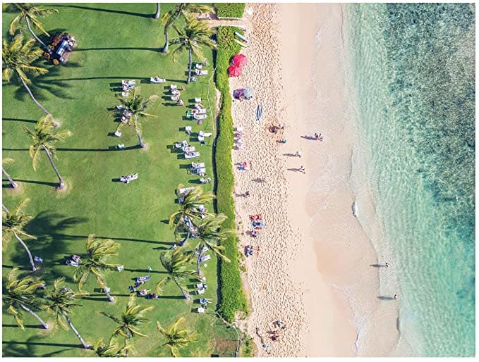 The Hawaii Beach United States