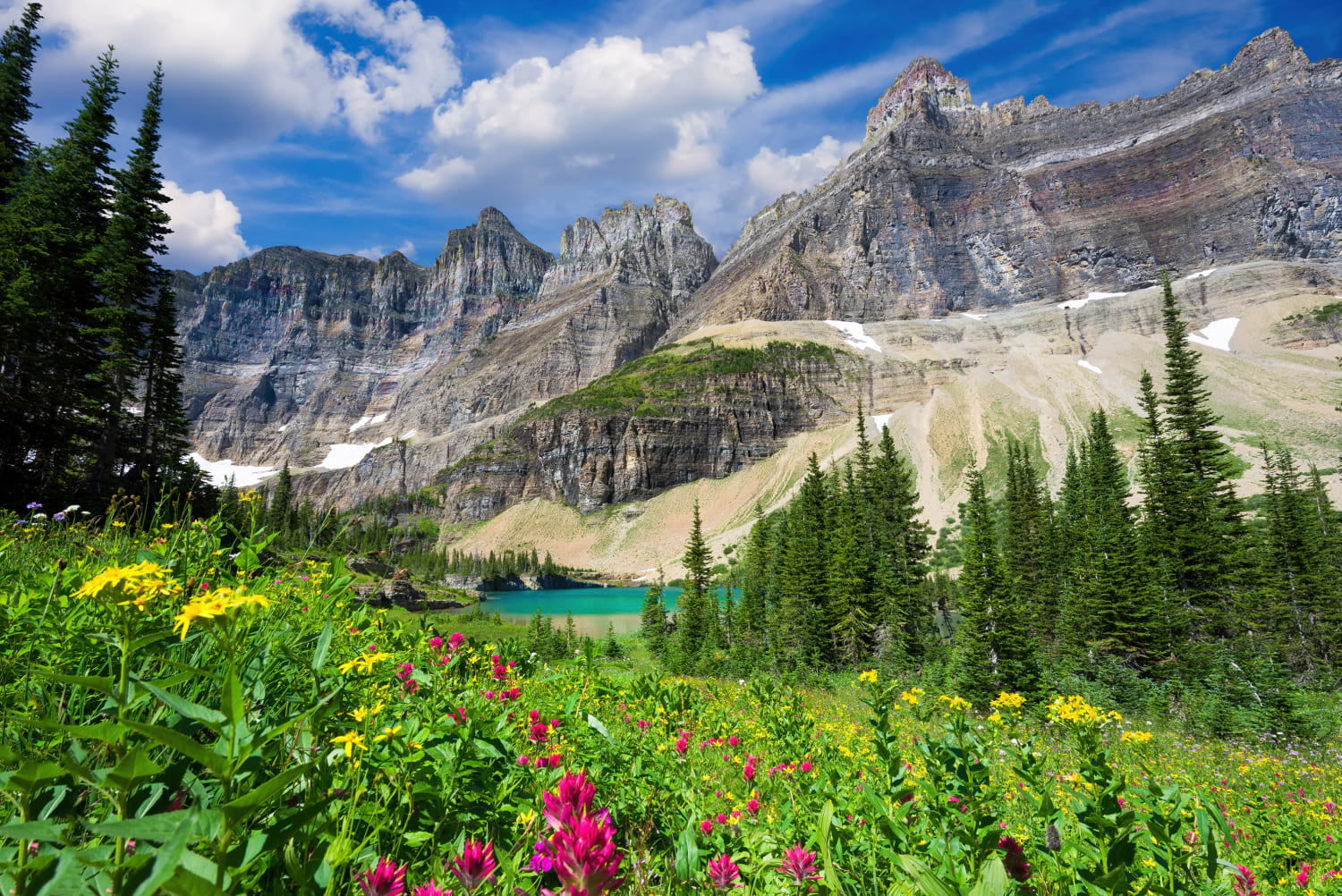 Glacier Pond In Montana