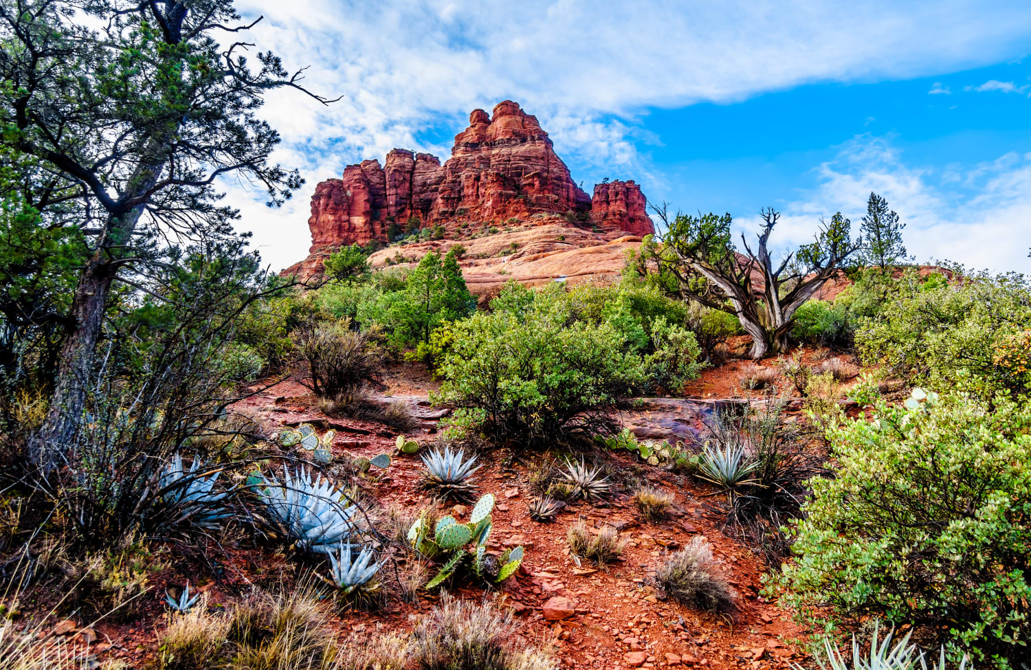Bell Rock in Sedona, Arizona